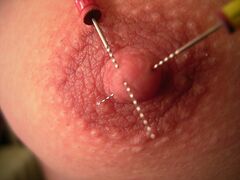 Bdsm amateur tits torture